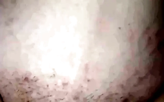 Creampie Yiny Leon Latina Gets Her Pussy Filled Of Cum