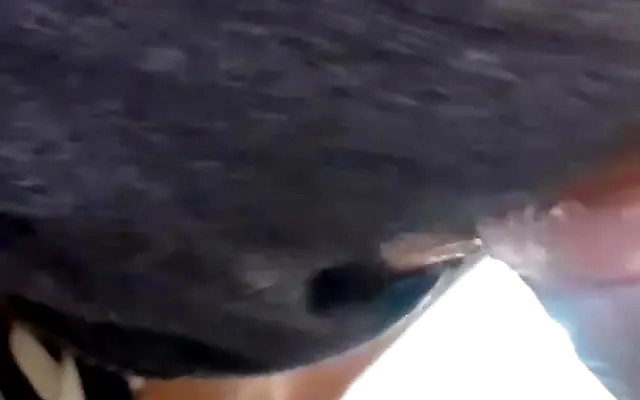 Tres hermanos se follan a su madrastra y se corren en su boca doble penetraci&oacute;n Tru Kait