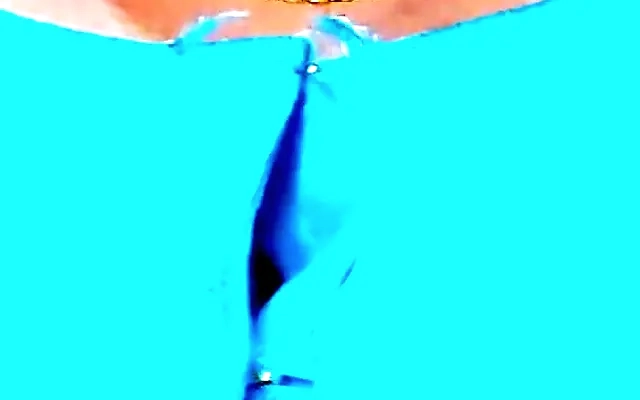 Torbe