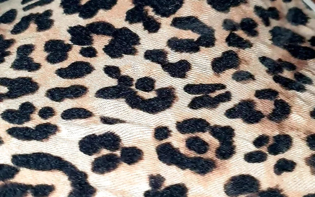 Hard Fuck Rough Fuck, Big Ass Thick Cock=Huge Load